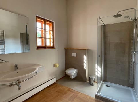 Modernes Badezimmer mit Dusche und Dachfenster
