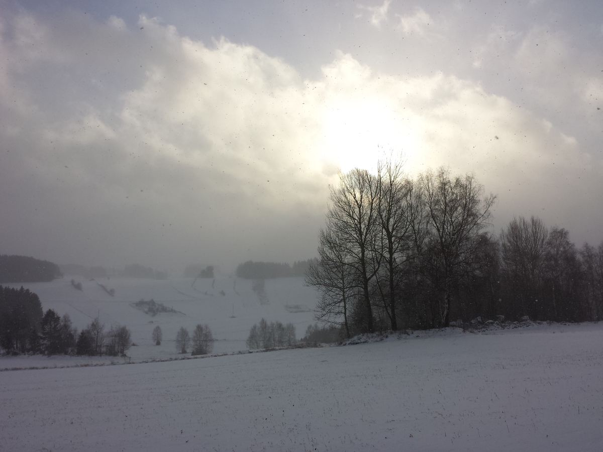 Verschneite Waldviertler Winterlandschaft mit Feldern und Wald